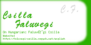 csilla faluvegi business card